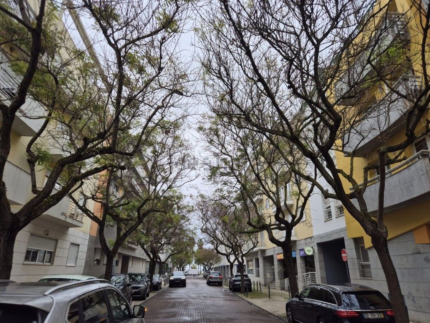 出租公寓 t4在Rua da Nau Catrineta, 7 - 视线