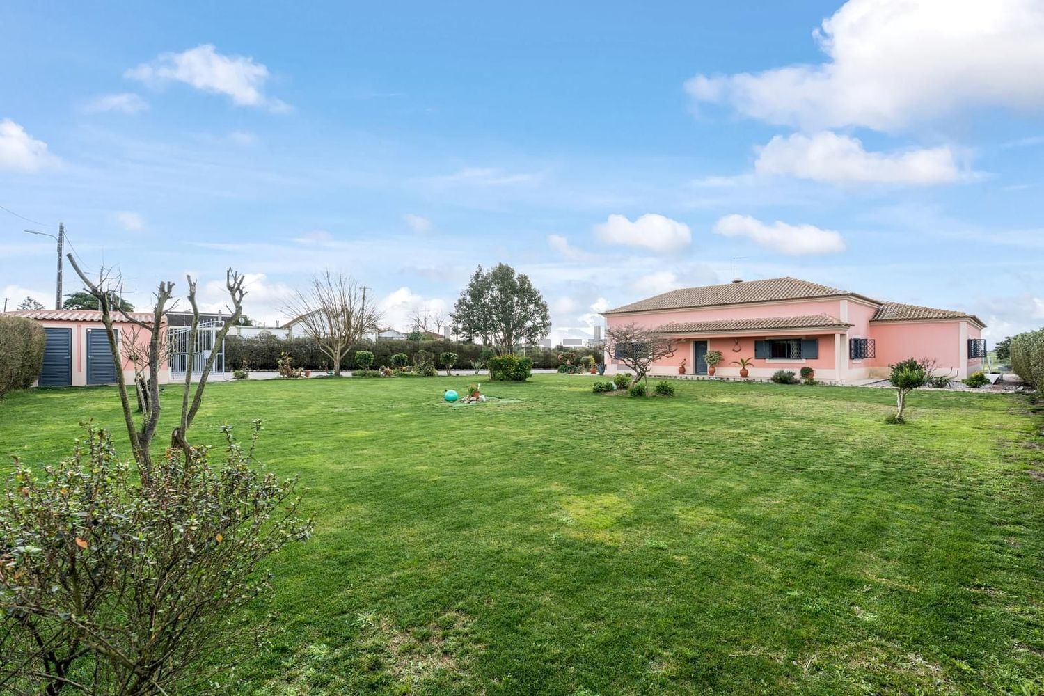 小楼房或独栋别墅出售N10 - 花园