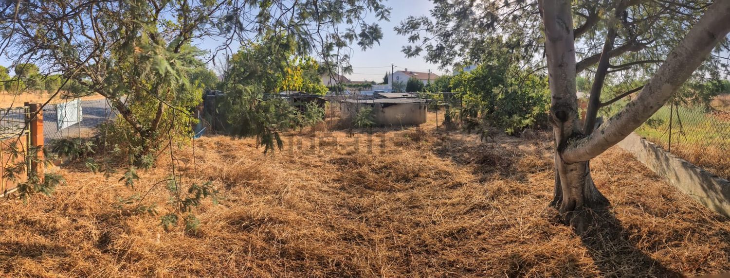 小楼房出售在Rua Doutor Evaristo Sousa Gago, 10 n - 花园