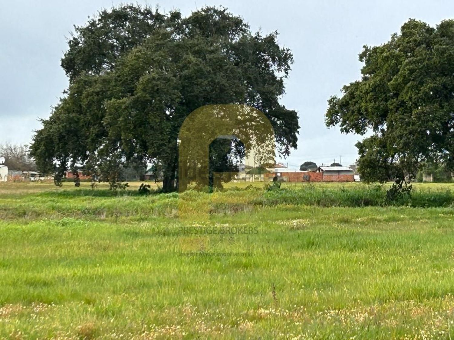 庄园出售在Atalaia e Alto Estanqueiro - Jardia - 花园