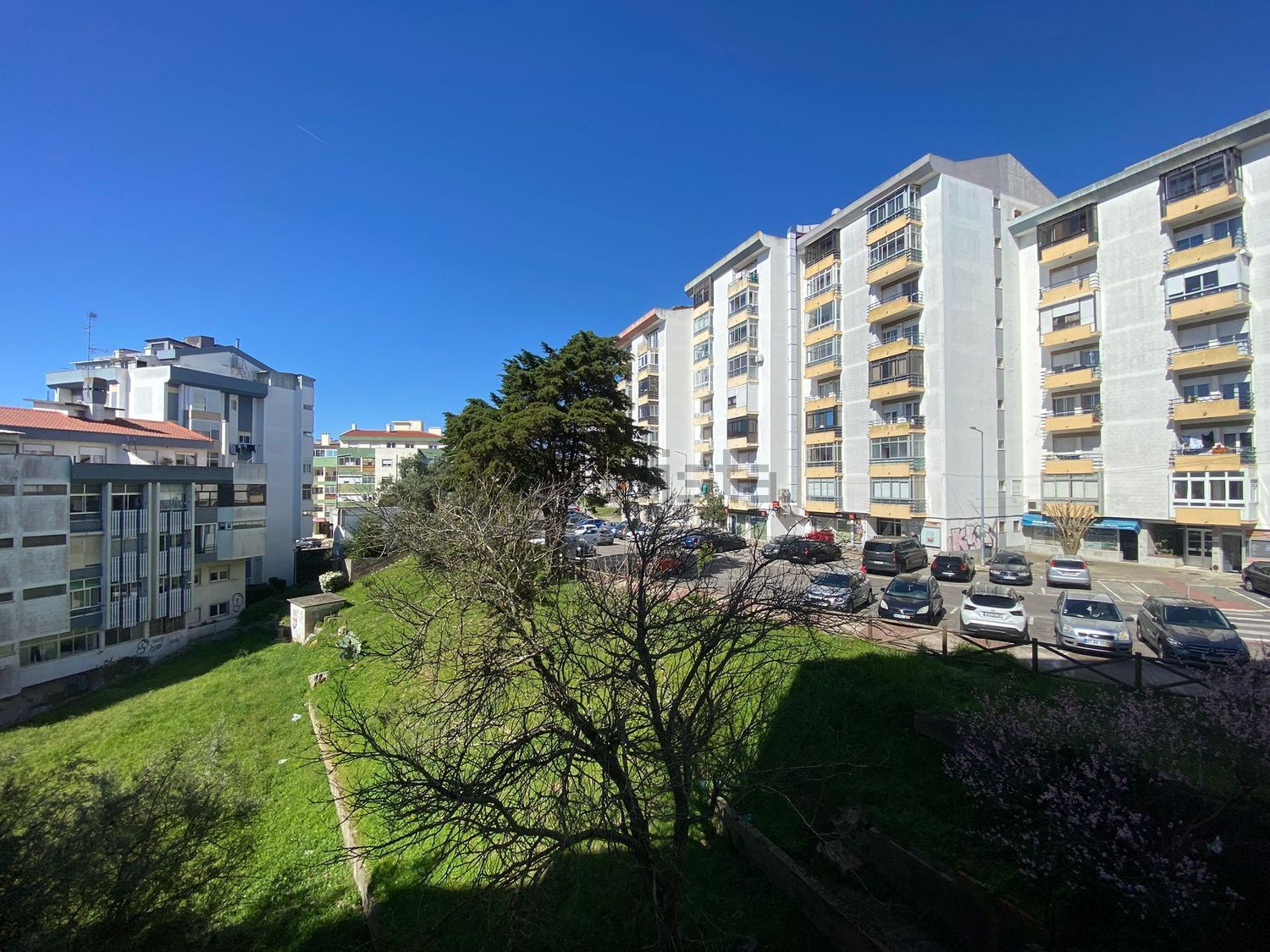 公寓 t2出售rinchoa s/n - 视线