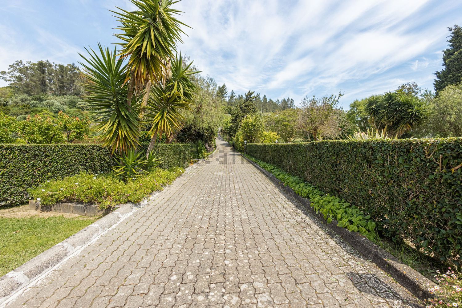 小楼房或独栋别墅出售Estr. da Serralheira de Baixo - 花园