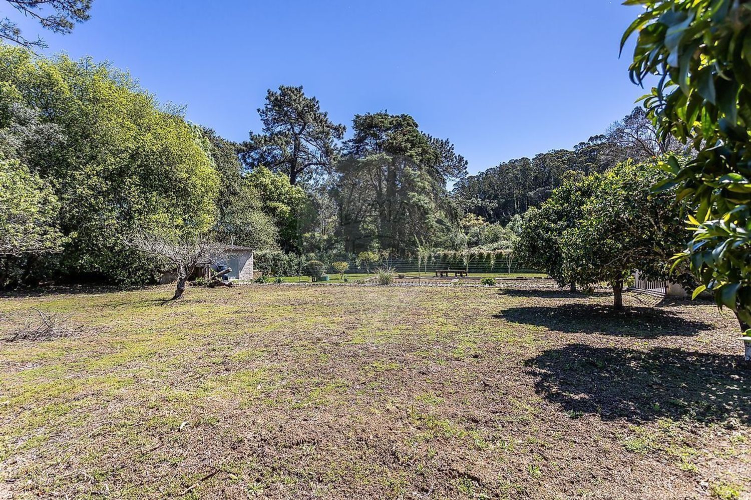 小楼房或独栋别墅出售在Serra das Minas - 花园