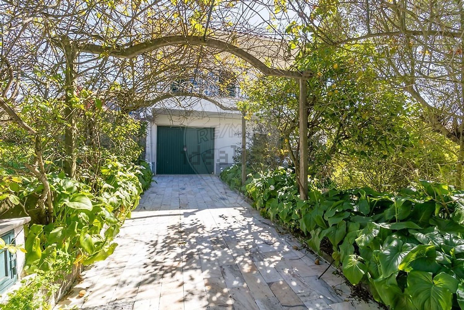 小楼房或独栋别墅出售Casal Novo - 外立面