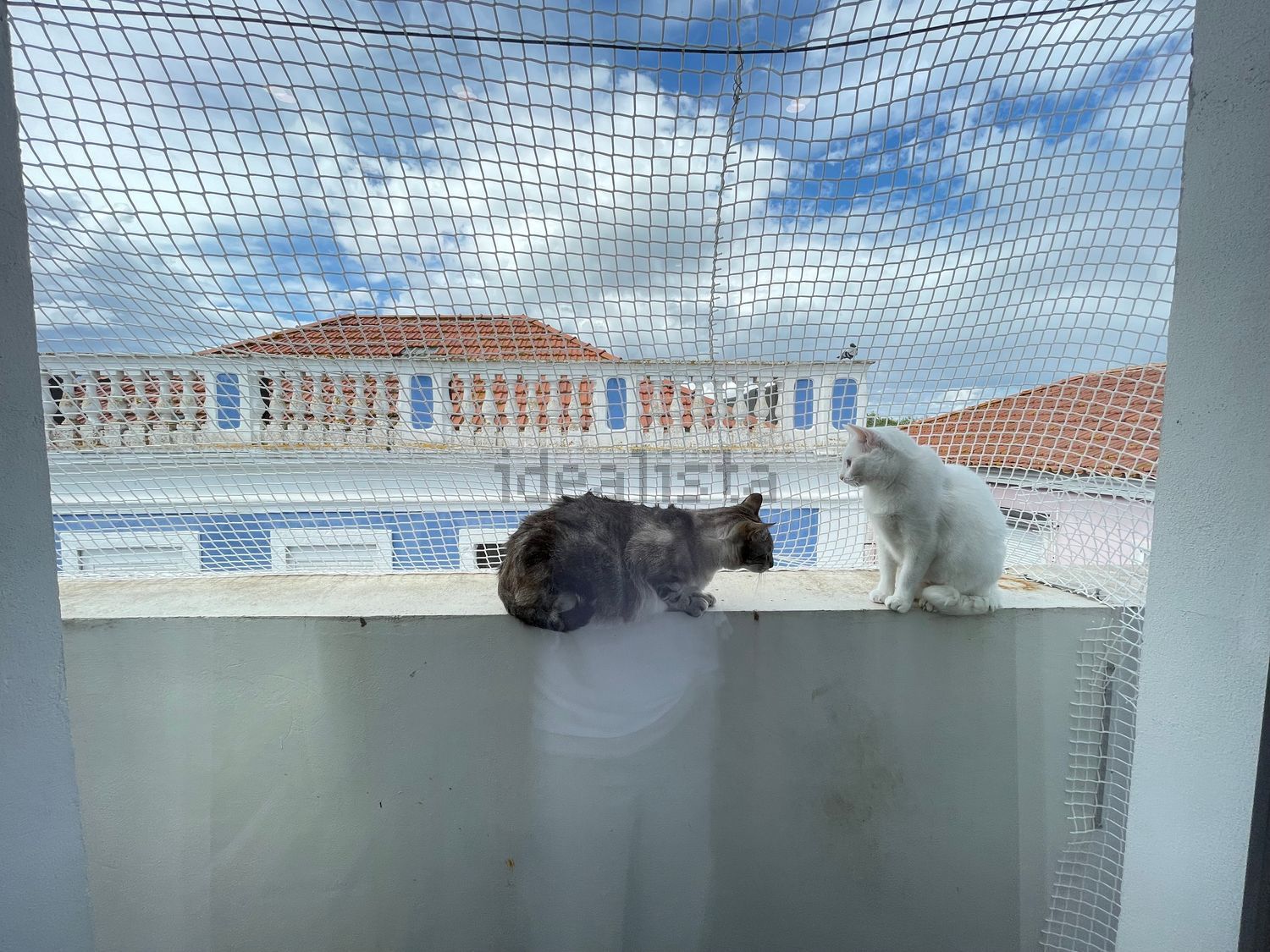 公寓 t2出售在Travessa do Prior - 露台