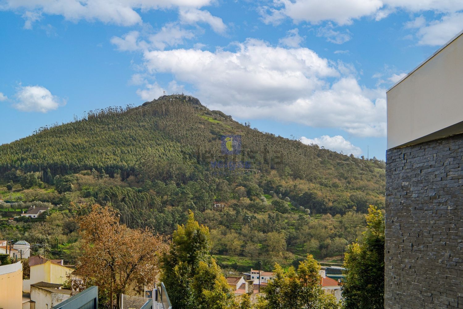 小楼房或别墅出售在Lousa - 视线