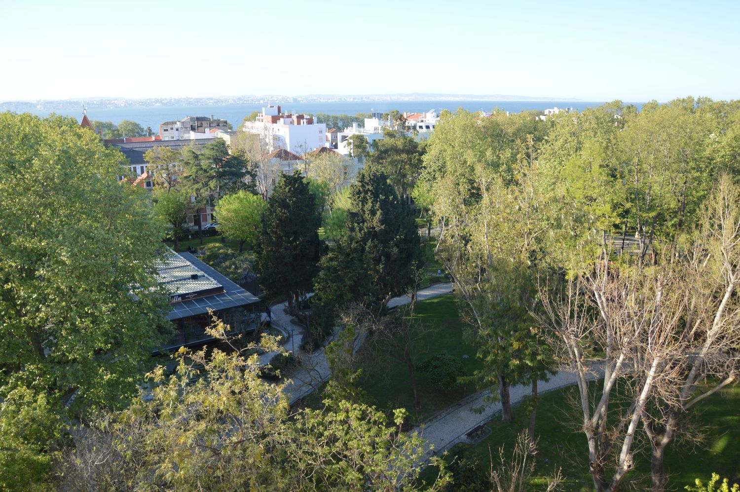 公寓 t4出售在Avenida Alfredo da Silva - 视线