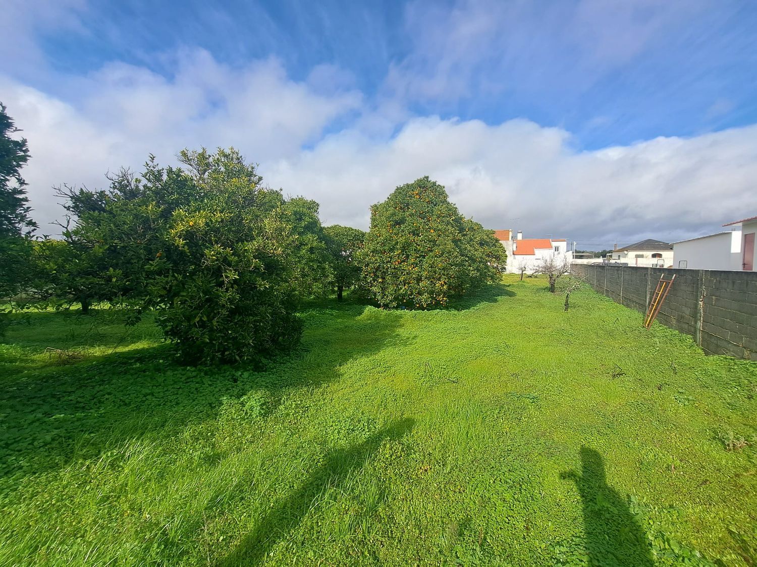 小楼房或独栋别墅出售在Avenida da Liberdade - 花园