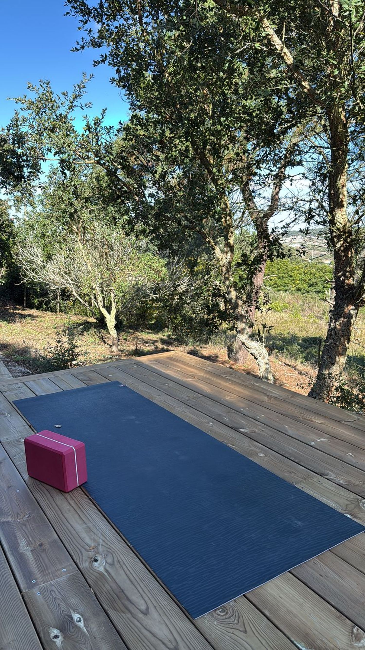 出租小楼房或独栋别墅在Santo Isidoro - 花园