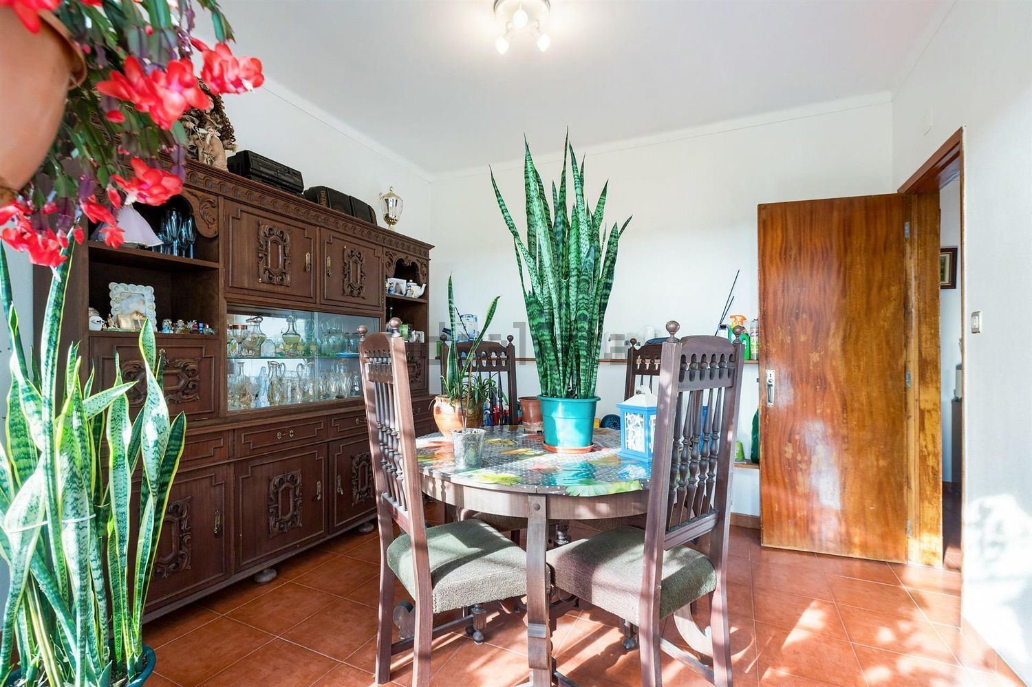 庄园出售在Rua Abel Ferreira, 46 - 客厅