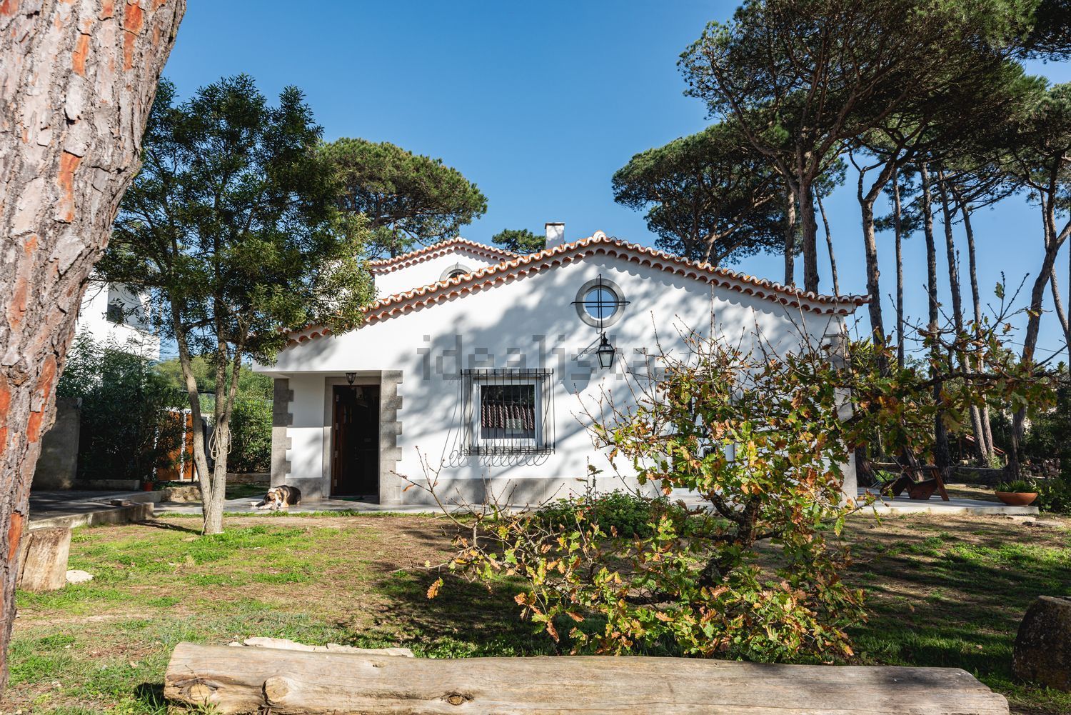 小楼房或独栋别墅出售在Caminho do Rio Touro - 外立面