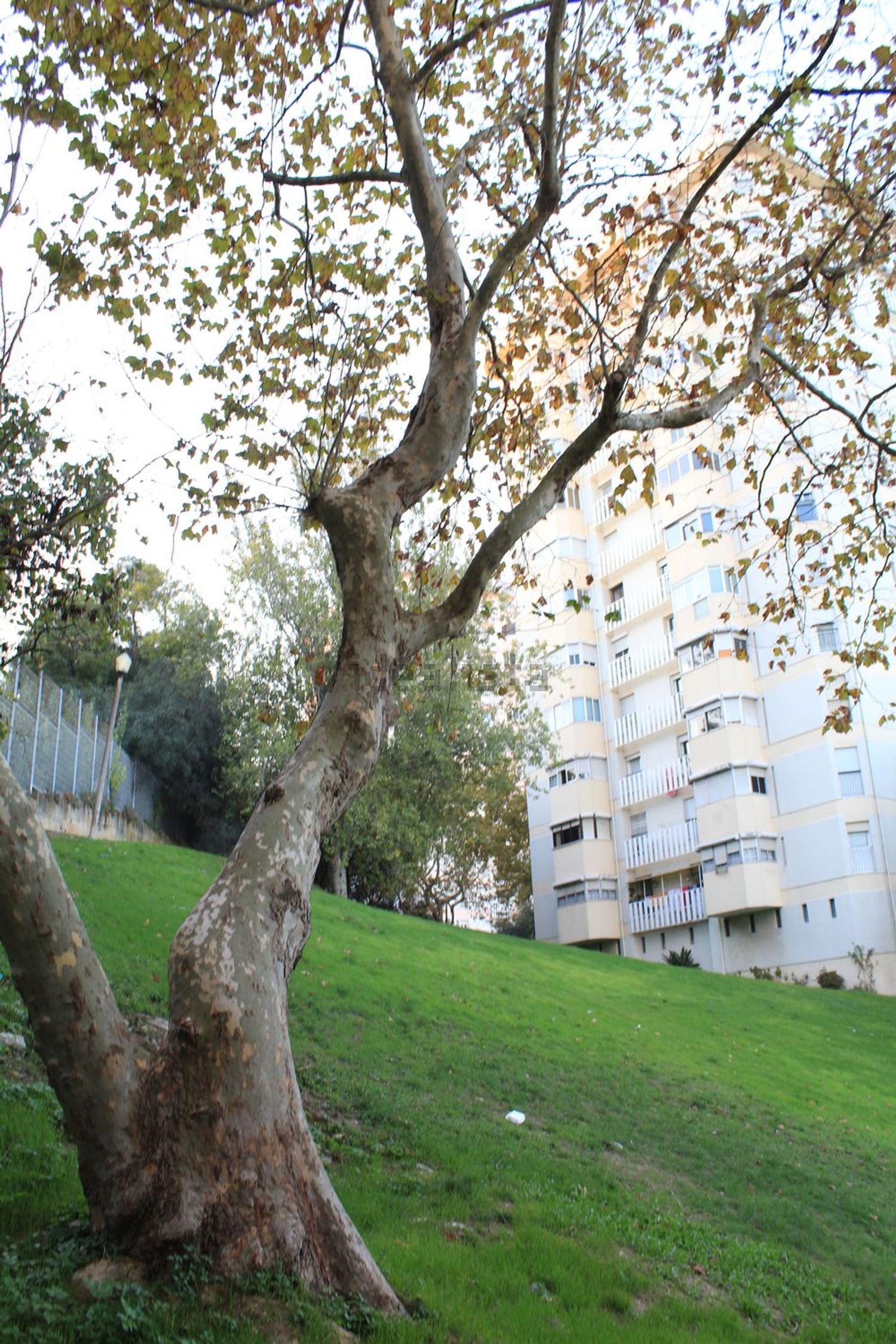 出租公寓 t2在Rua Cidade de Nova Lisboa, 221 - 视线