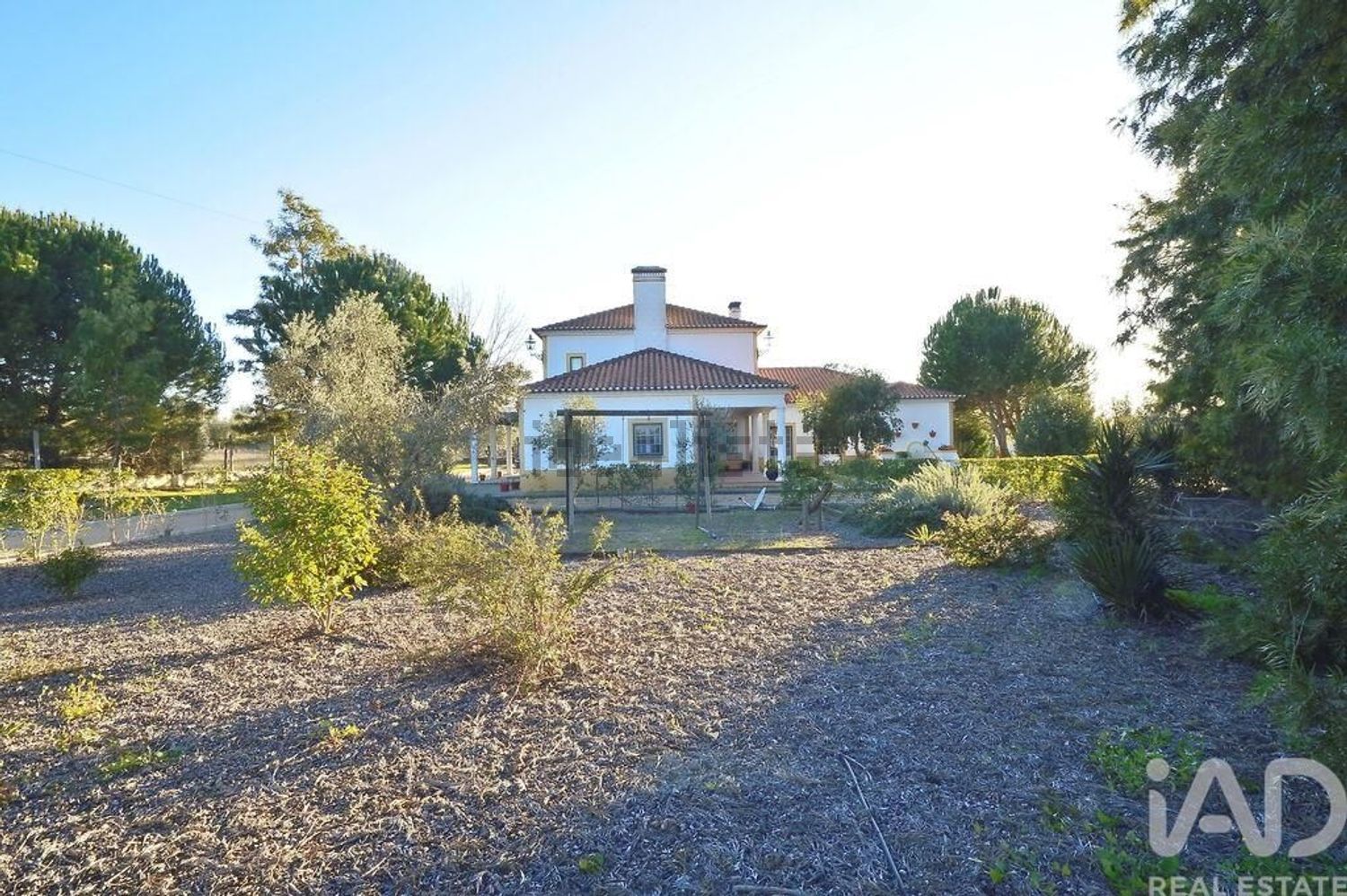 小楼房或独栋别墅出售在Alcácer do Sal e Santa Susana - 视线