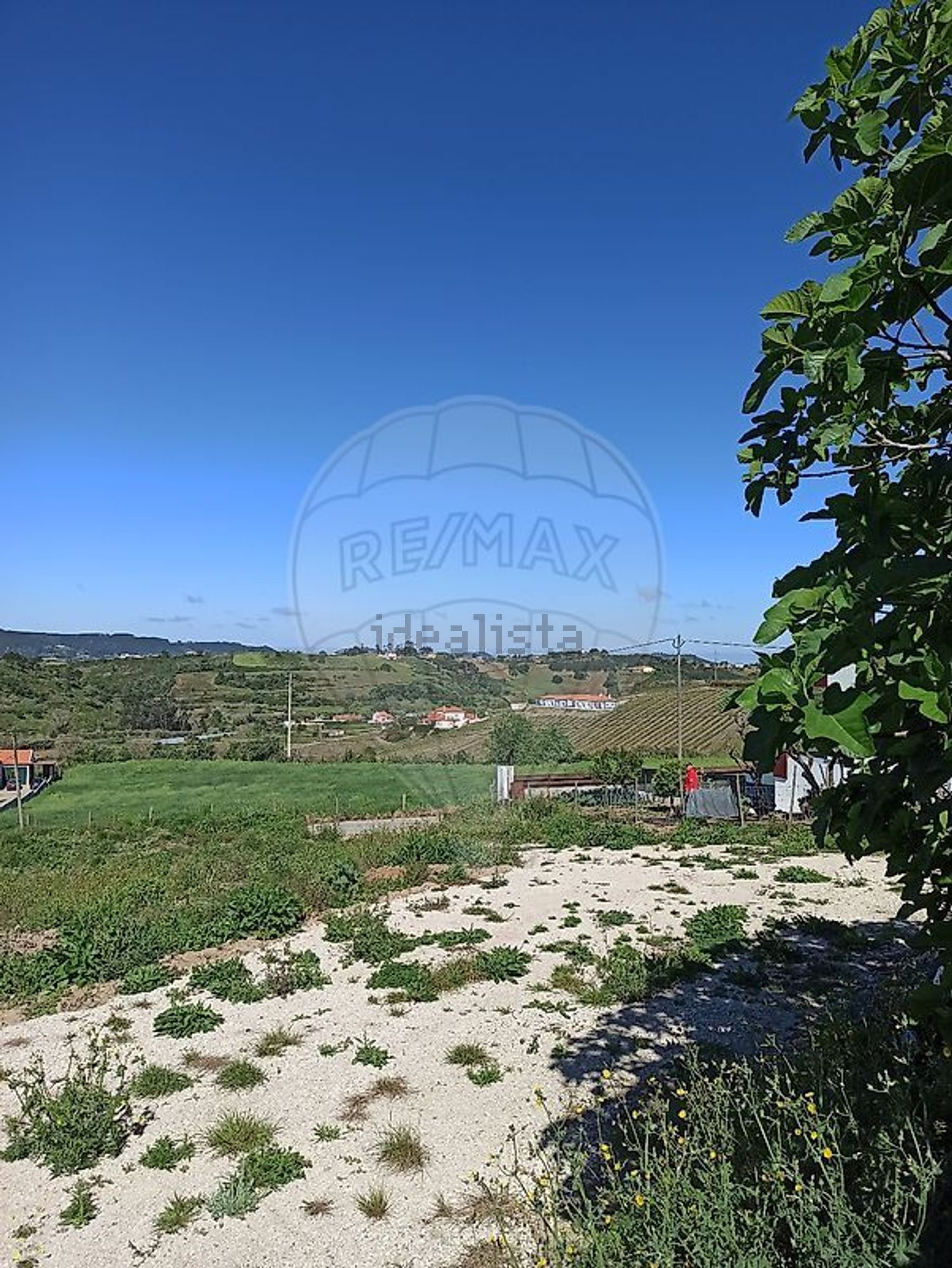 小楼房或独栋别墅出售在Encarnação - 花园