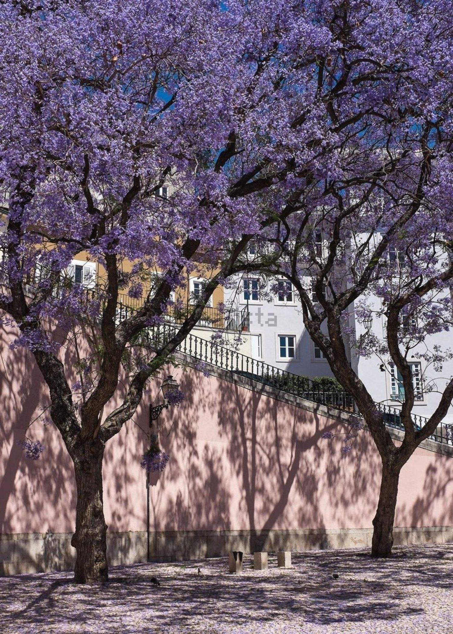 公寓 t3出售在Baixa - 照片