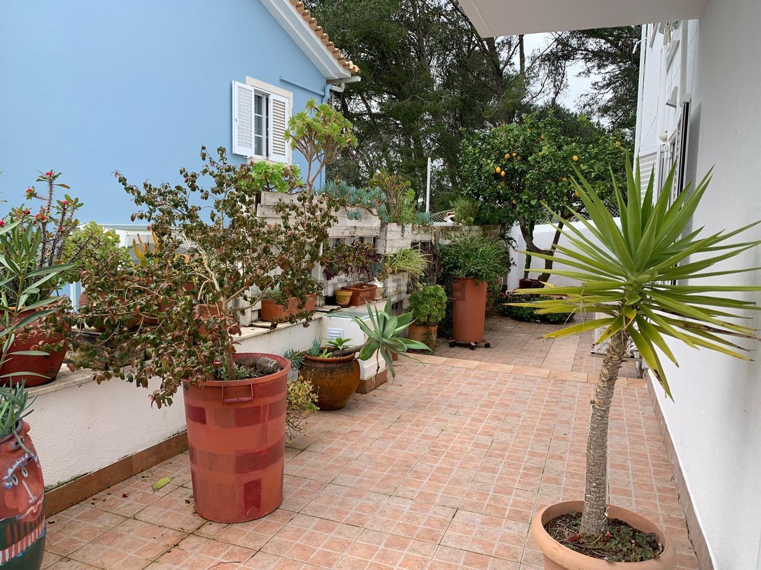 出租双拼别墅Calçada 1º de Dezembro, 142 - 院子