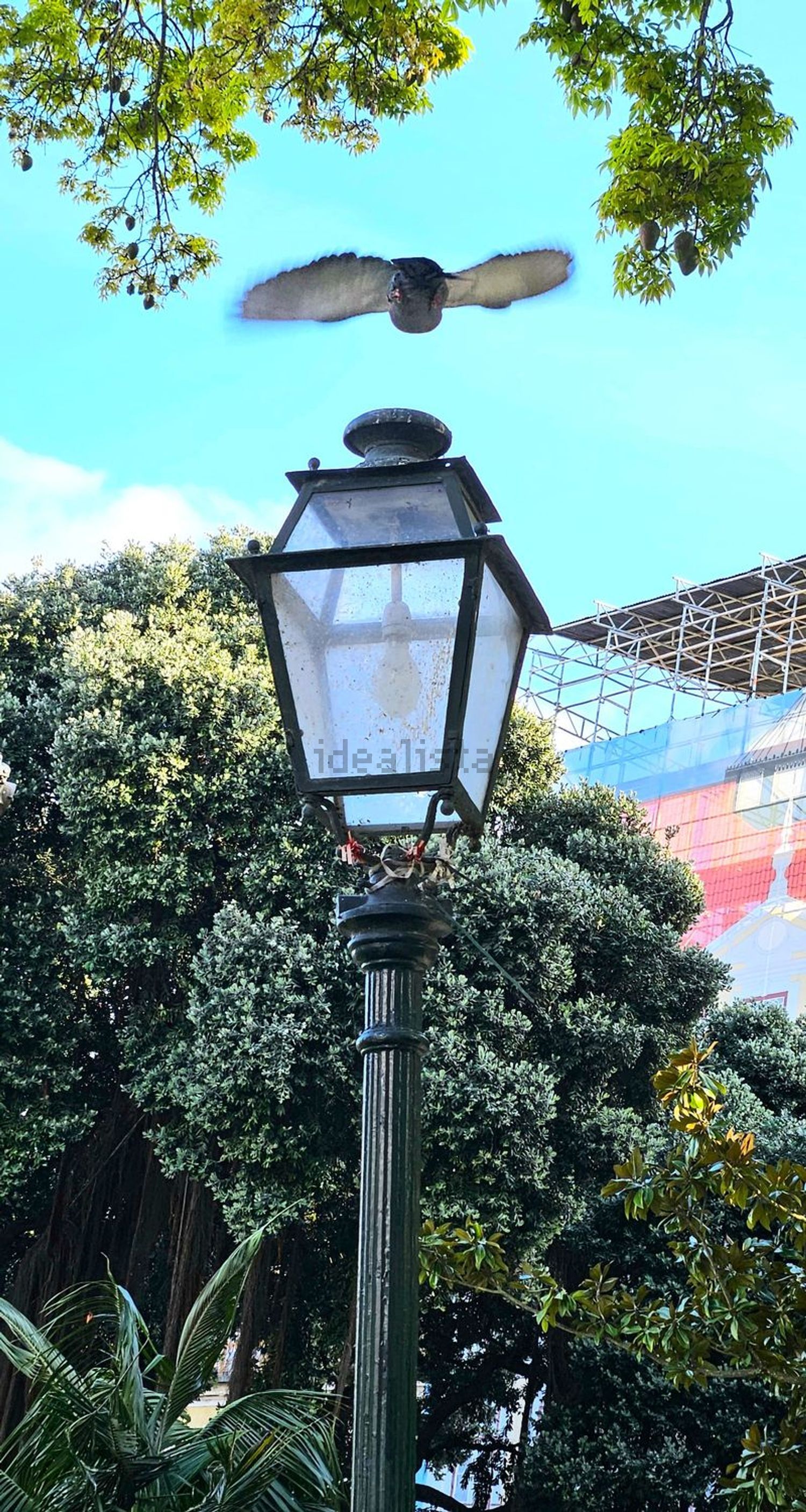 出租公寓 t2在Rua da Glória - 详情