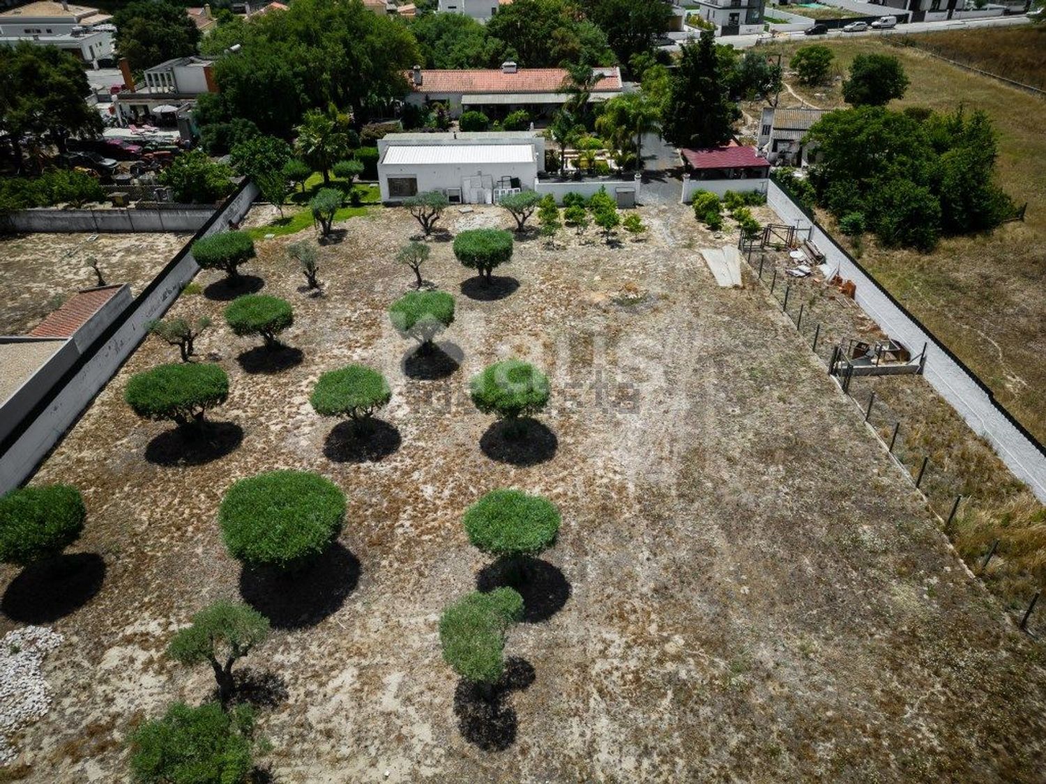 庄园出售在Centro - 花园