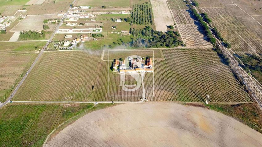 农庄出售在Poceirão e Marateca