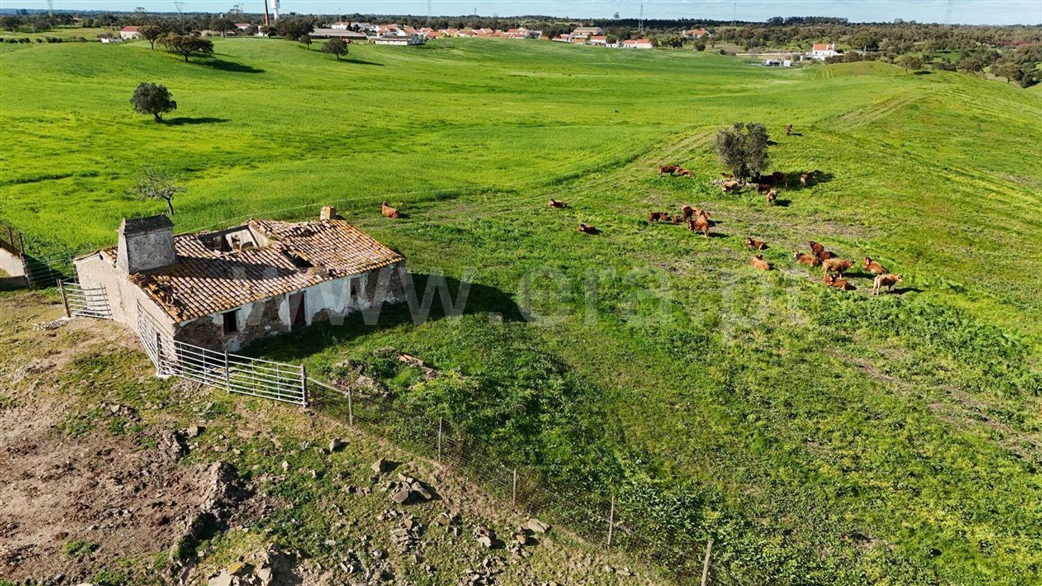 庄园出售在Abela - 花园