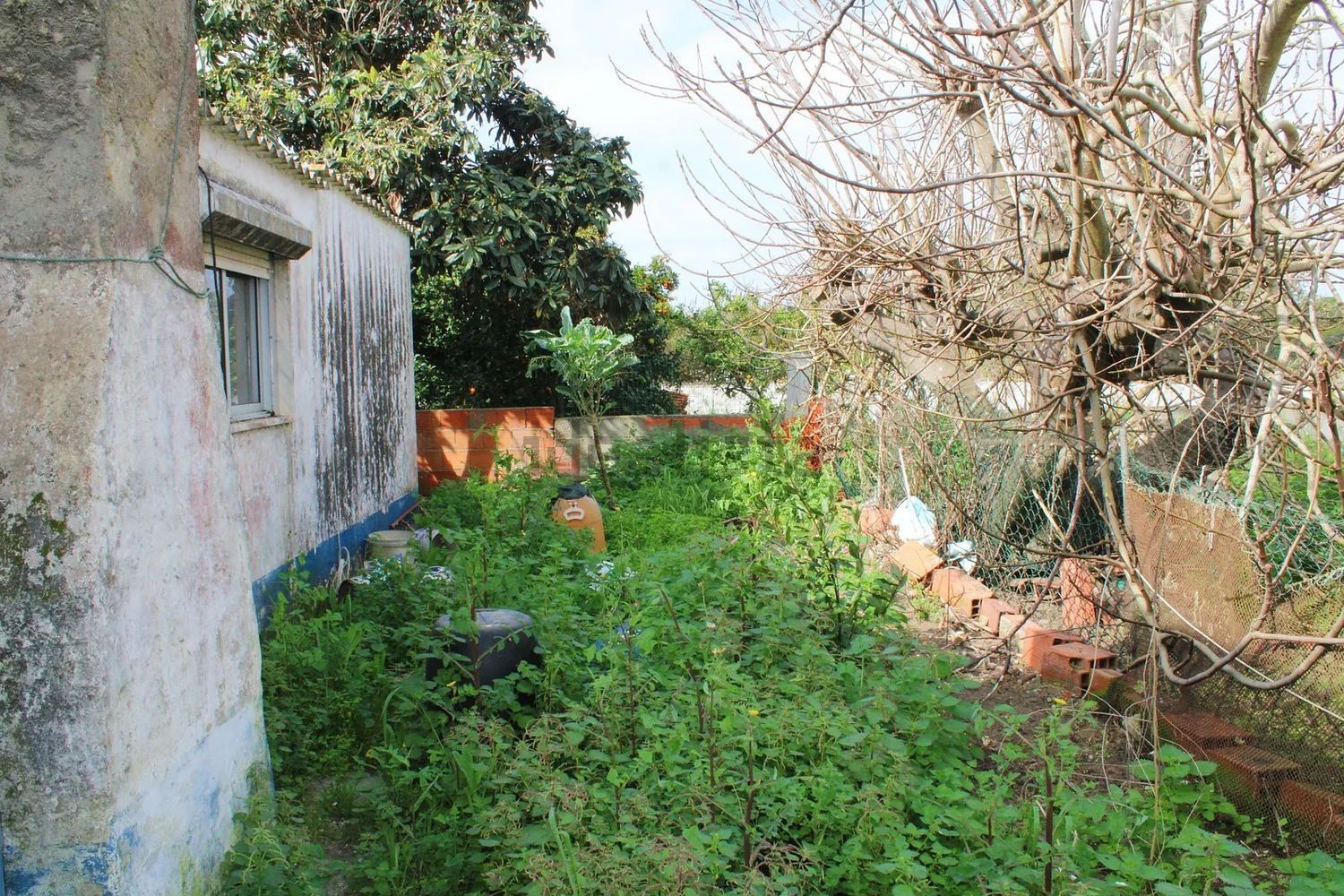 小楼房或独栋别墅出售carvalhal - 花园