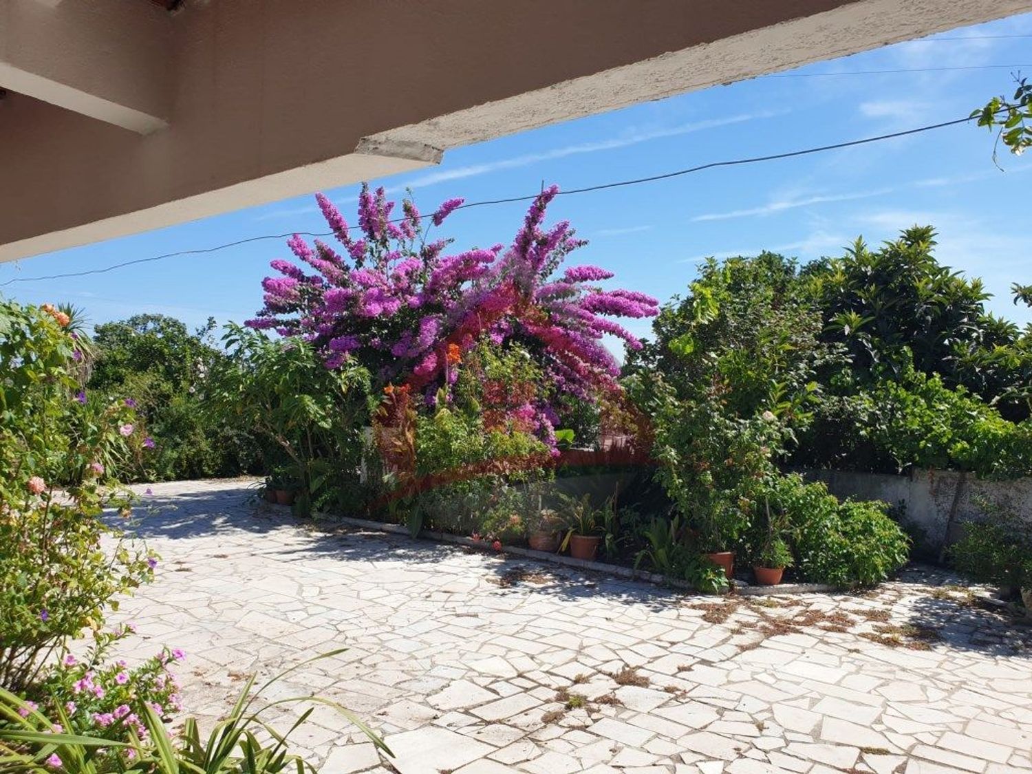 庄园出售在Largo da Fonte - 照片