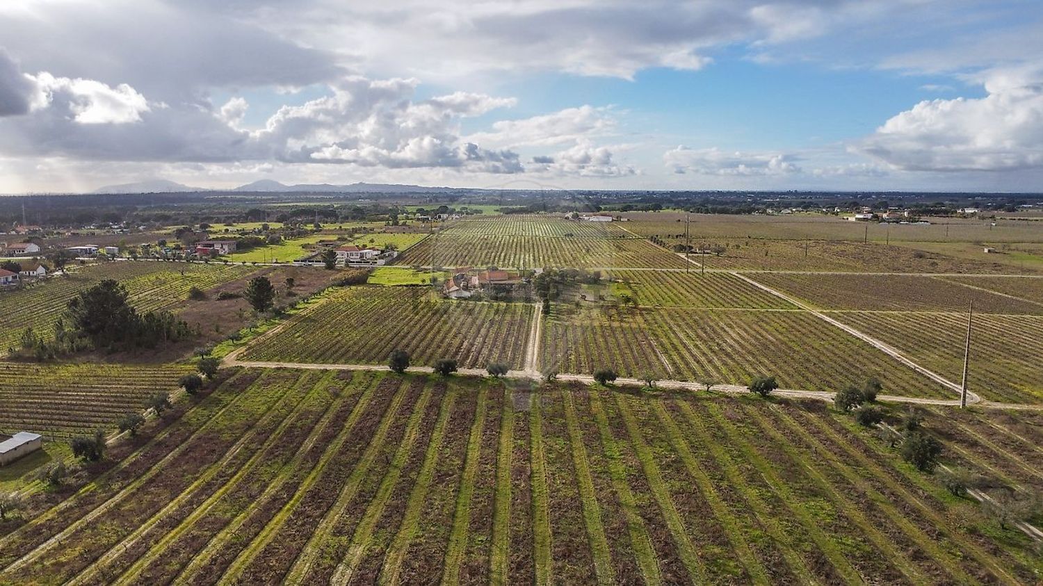 庄园出售在Poceirão e Marateca - 视线