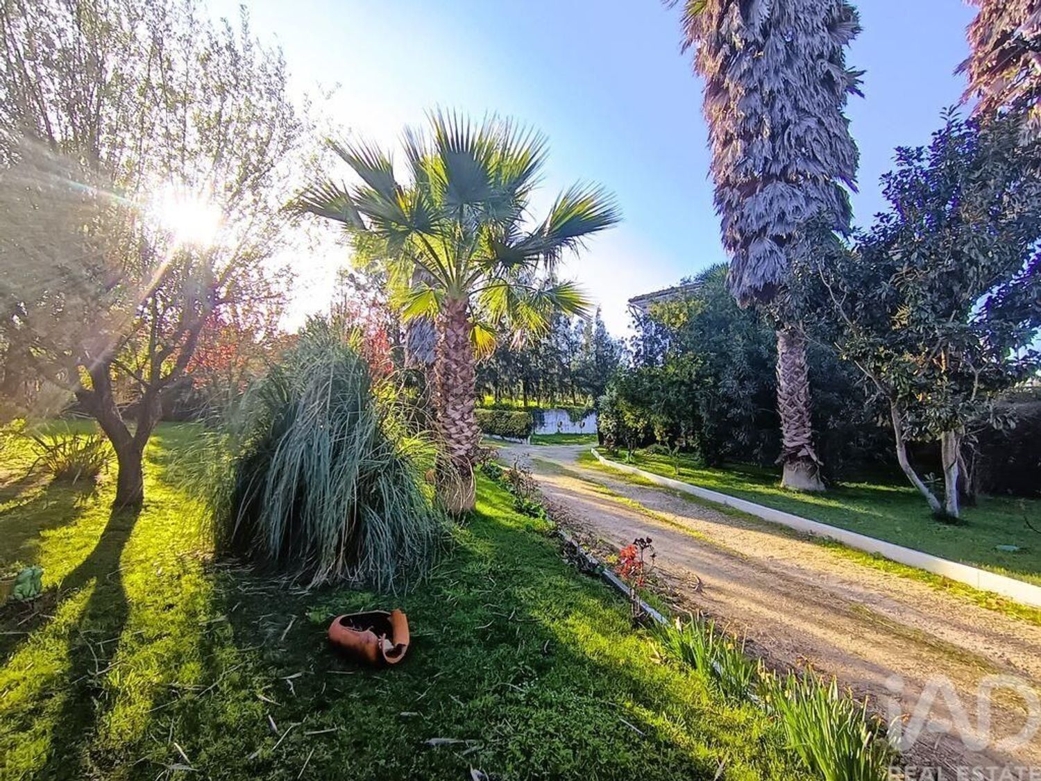 小楼房或独栋别墅出售在Castanheira do Ribatejo e Cachoeiras - 周边