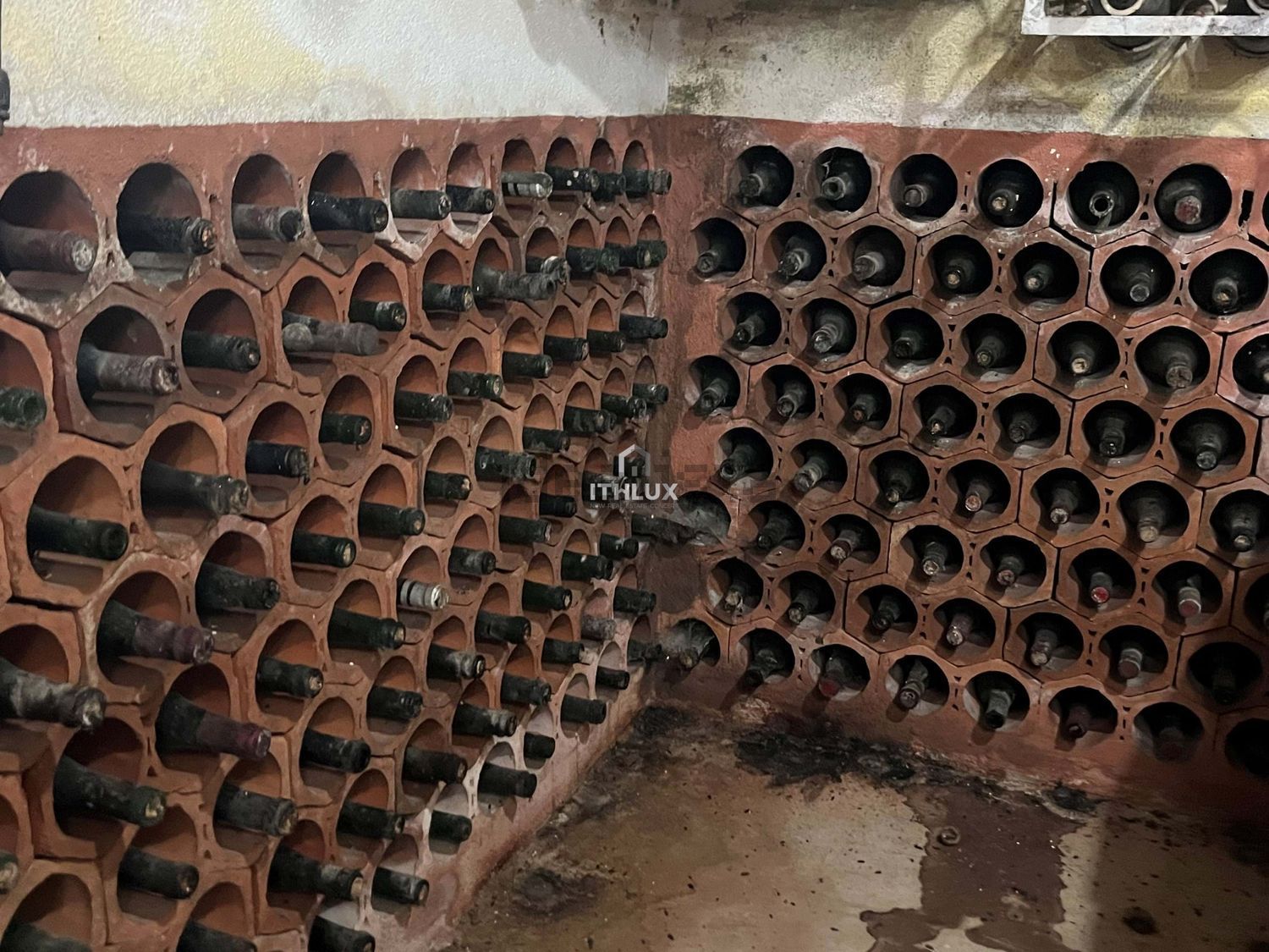 庄园出售在São Pedro de Penaferrim - 照片