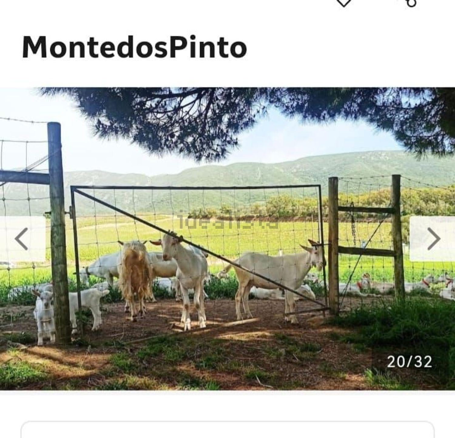 出租庄园Casais da serra azeitao, 2925 Azeitao - 花园