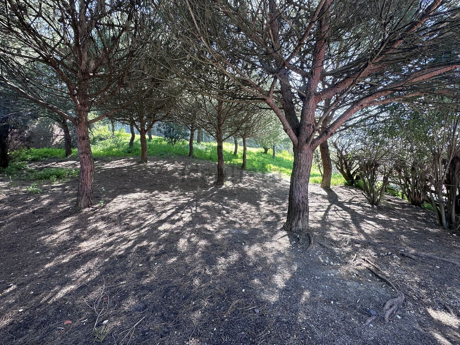 出租公寓 t2Calçada do Poço, 2 - 花园