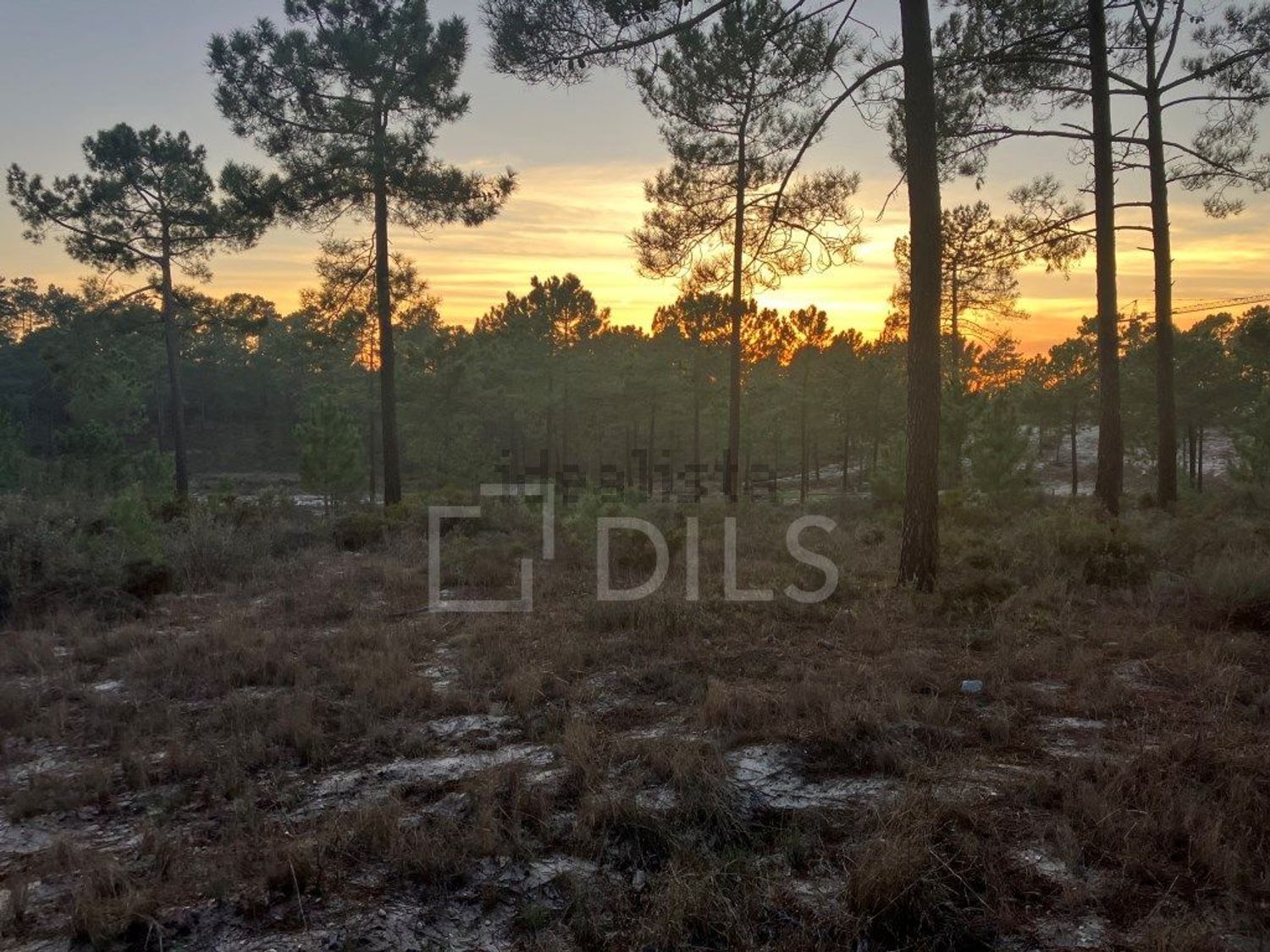 小楼房或独栋别墅出售在Rua da Eira - 花园