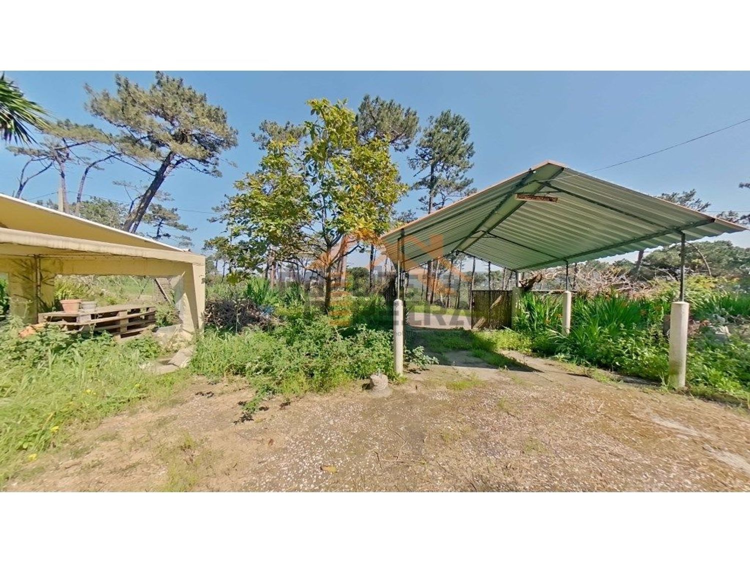 小楼房或独栋别墅出售在Azenhas do Mar - Praia das Maças - Praia Grande - 花园