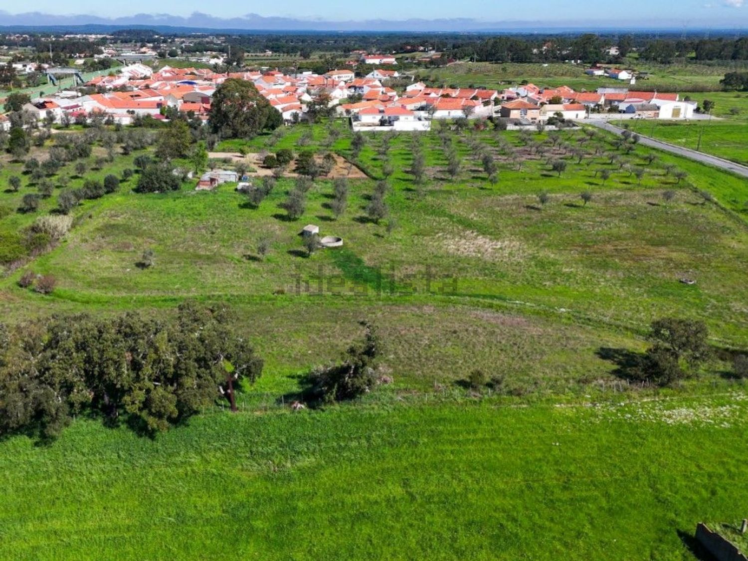 庄园出售在Rua José Dias Coelho, 9 - 花园