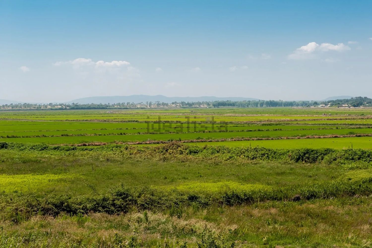 小楼房或独栋别墅出售carvalhal - 花园