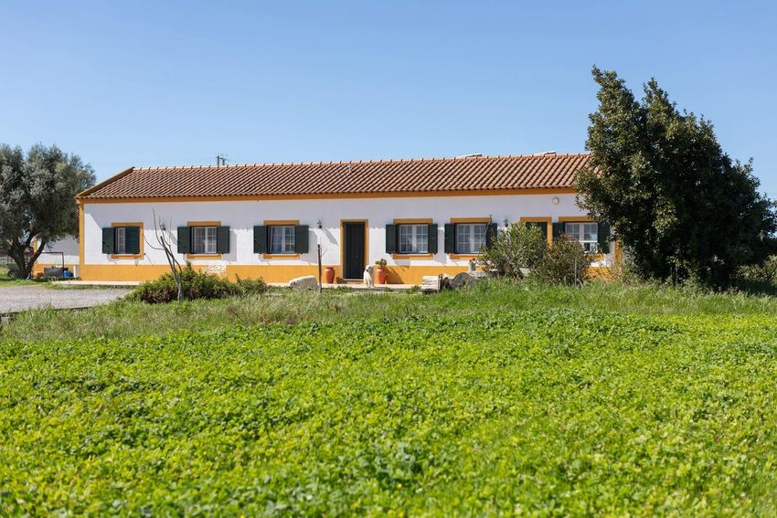 农庄出售在Estrada Vale Porrim s/n