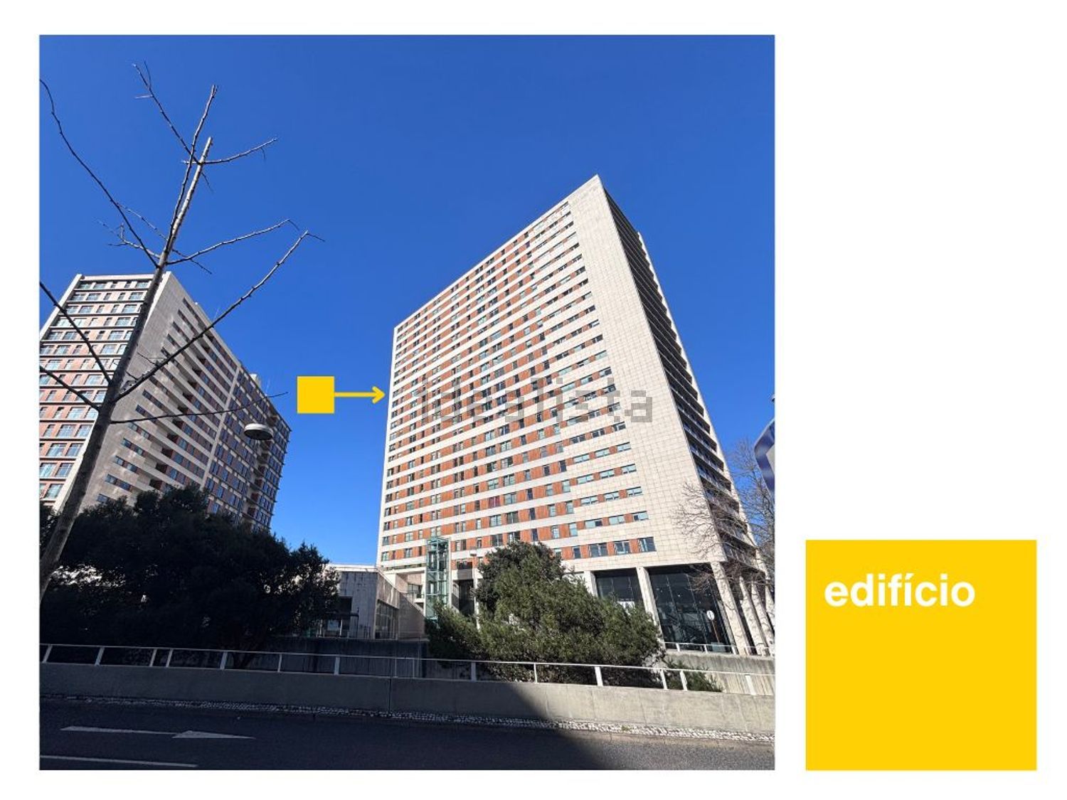 出租公寓 t1在Avenida Dom João II - 视线