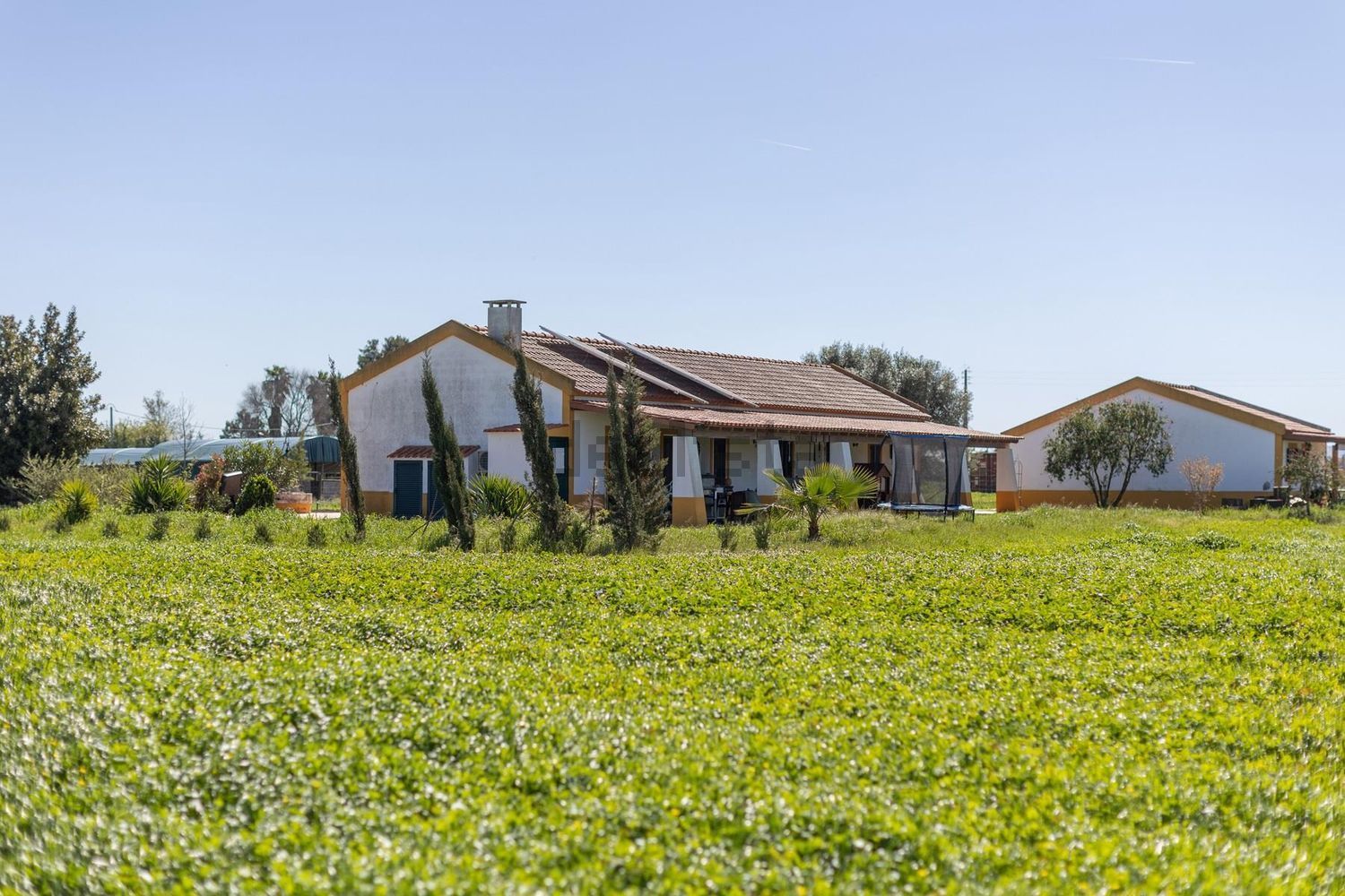 农庄出售在Estrada Vale Porrim s/n - 外立面