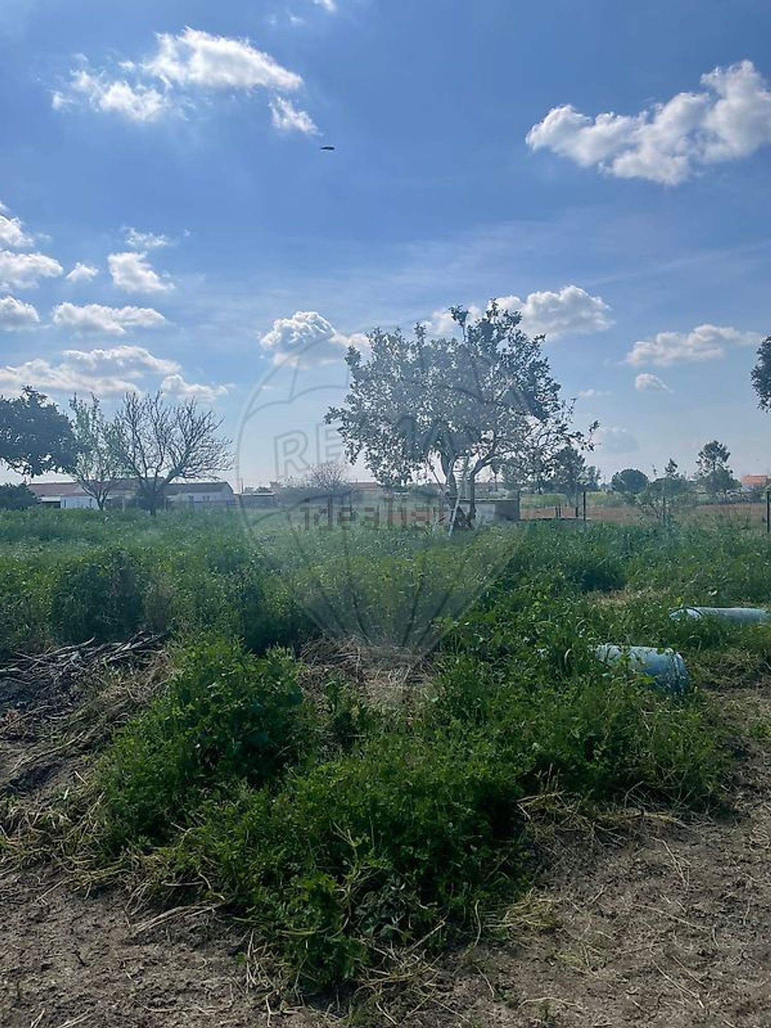 小楼房或独栋别墅出售N4 - 花园