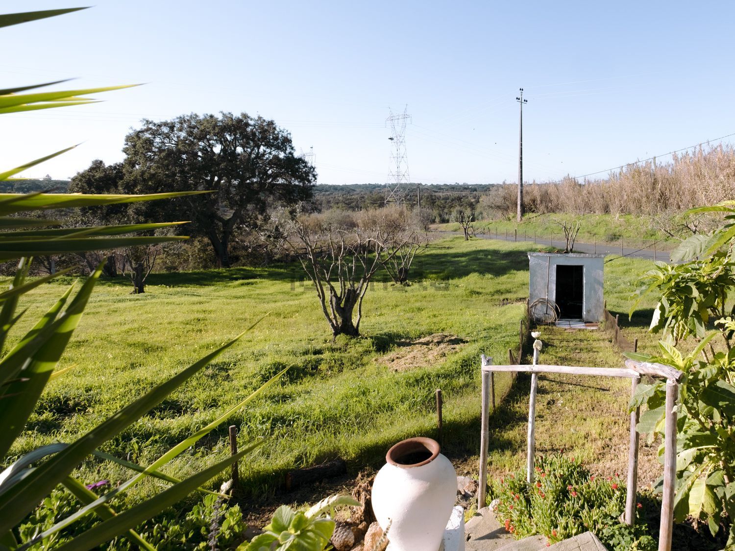 小楼房或独栋别墅出售Monte Forinho - 花园