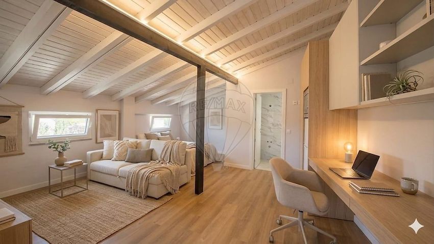 小楼房或独栋别墅出售N116