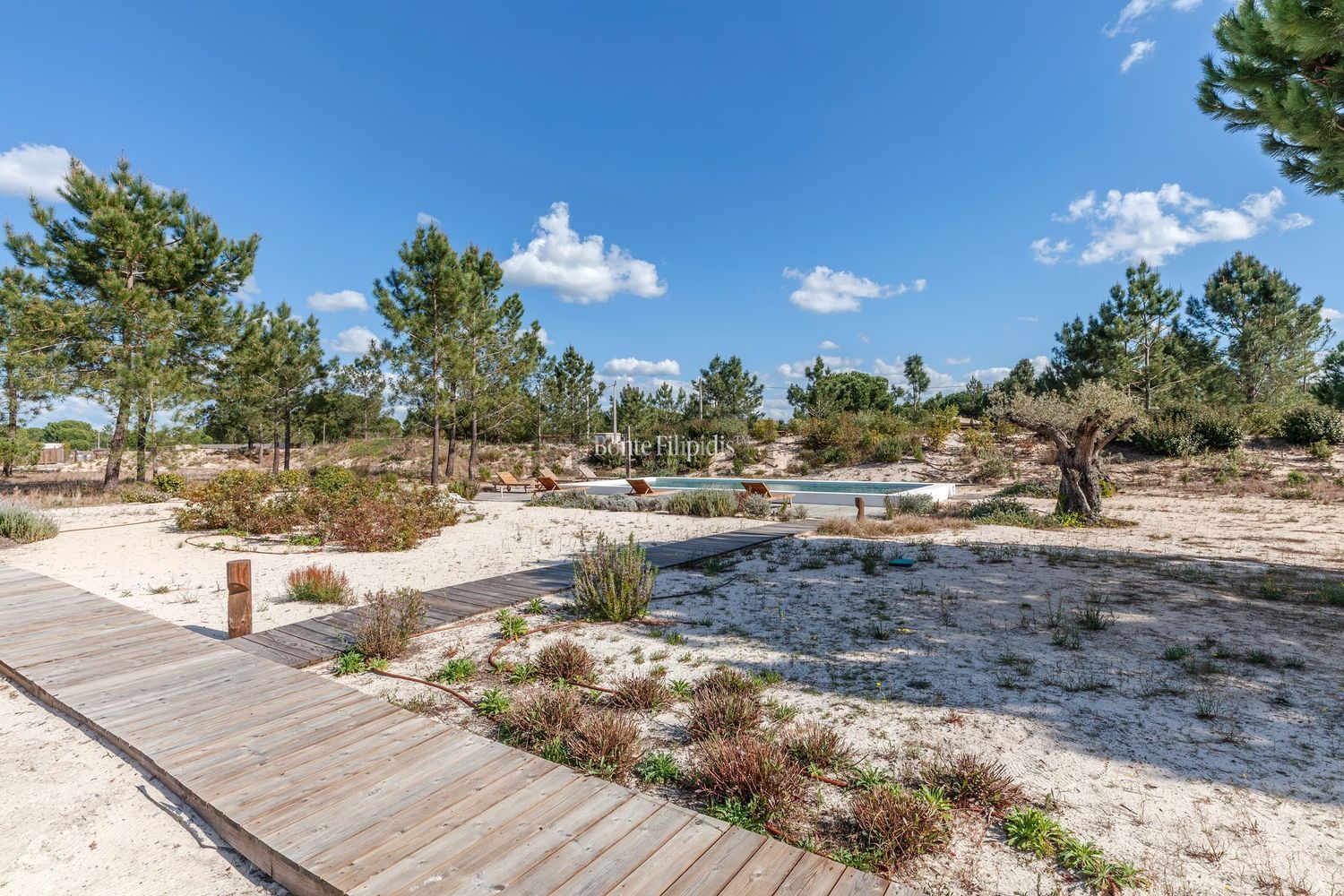 小楼房或独栋别墅出售N261-1, Estrada das Bicas - Authentic Bicas - 视线