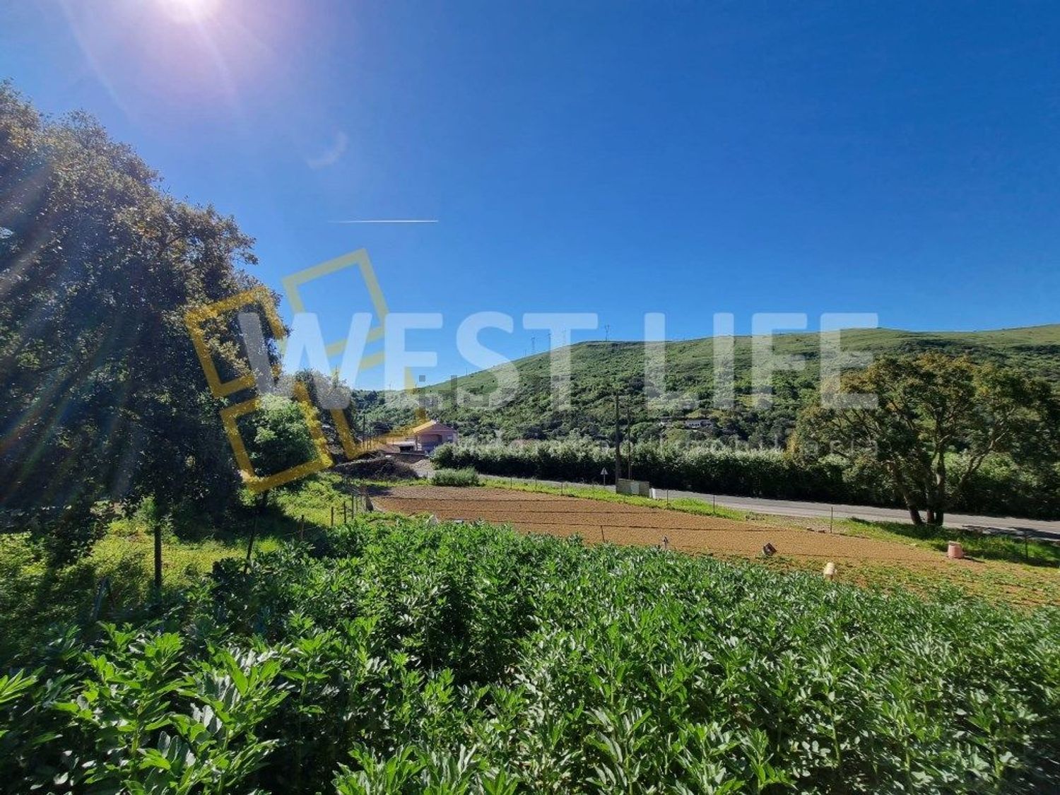 小楼房或独栋别墅出售在Avenida Catarina Eufémia - 照片