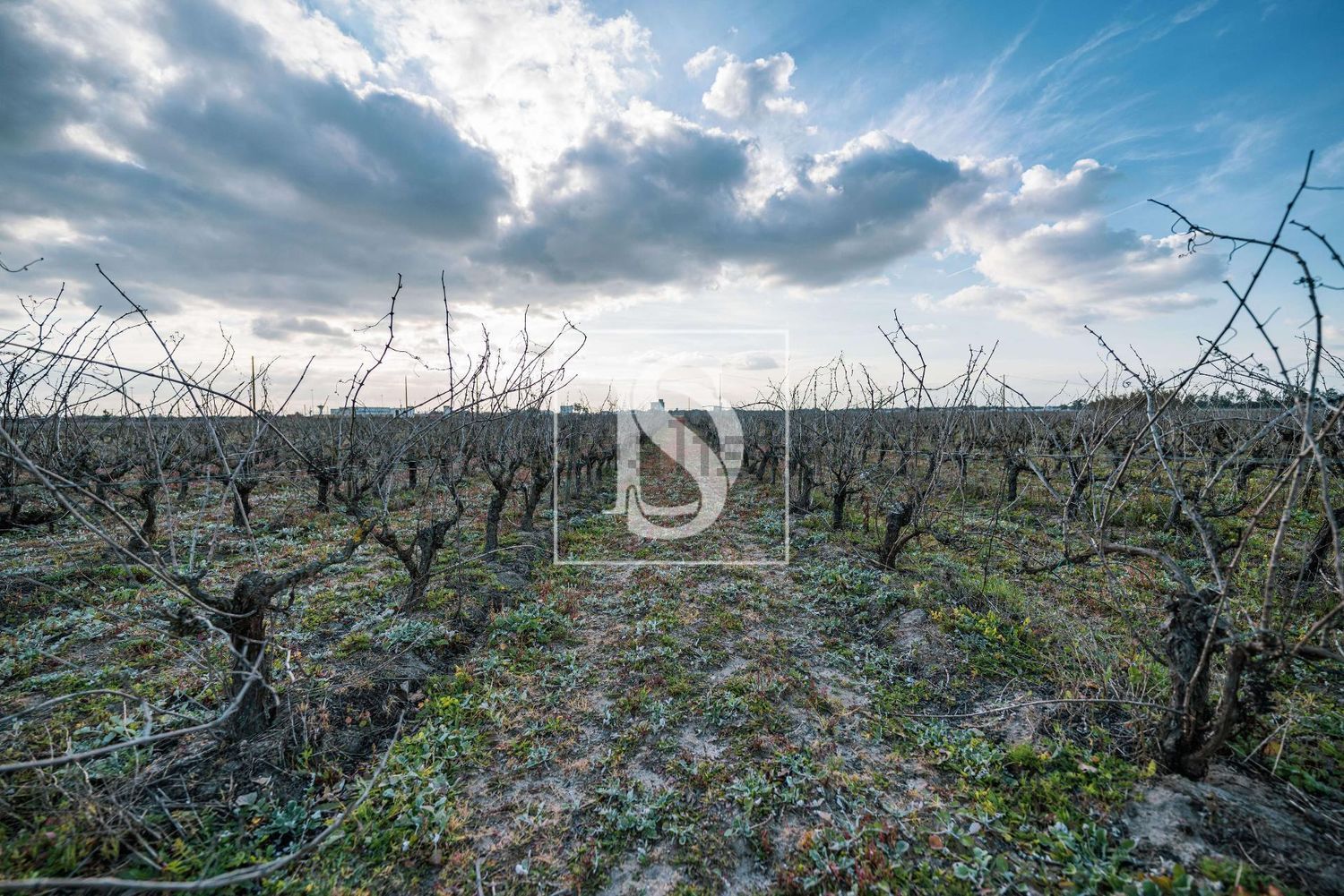 农庄出售在Poceirão e Marateca - 照片