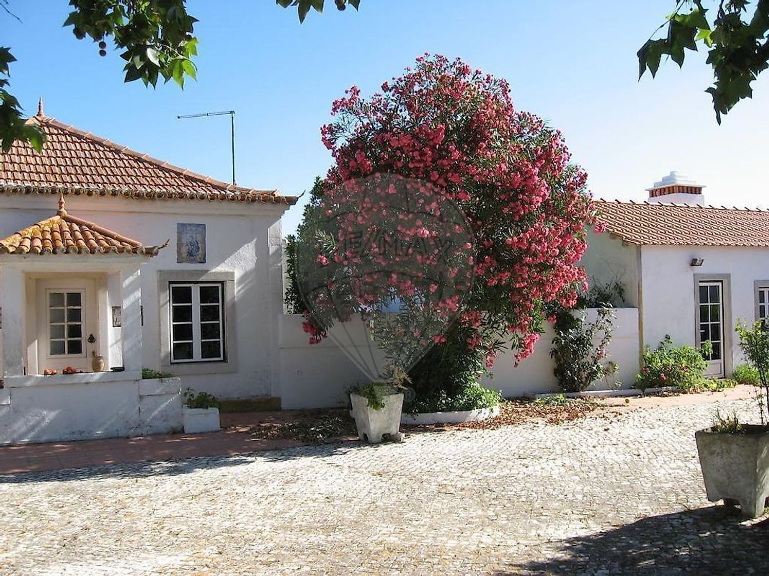 庄园出售在Rua António Roldão - 外立面