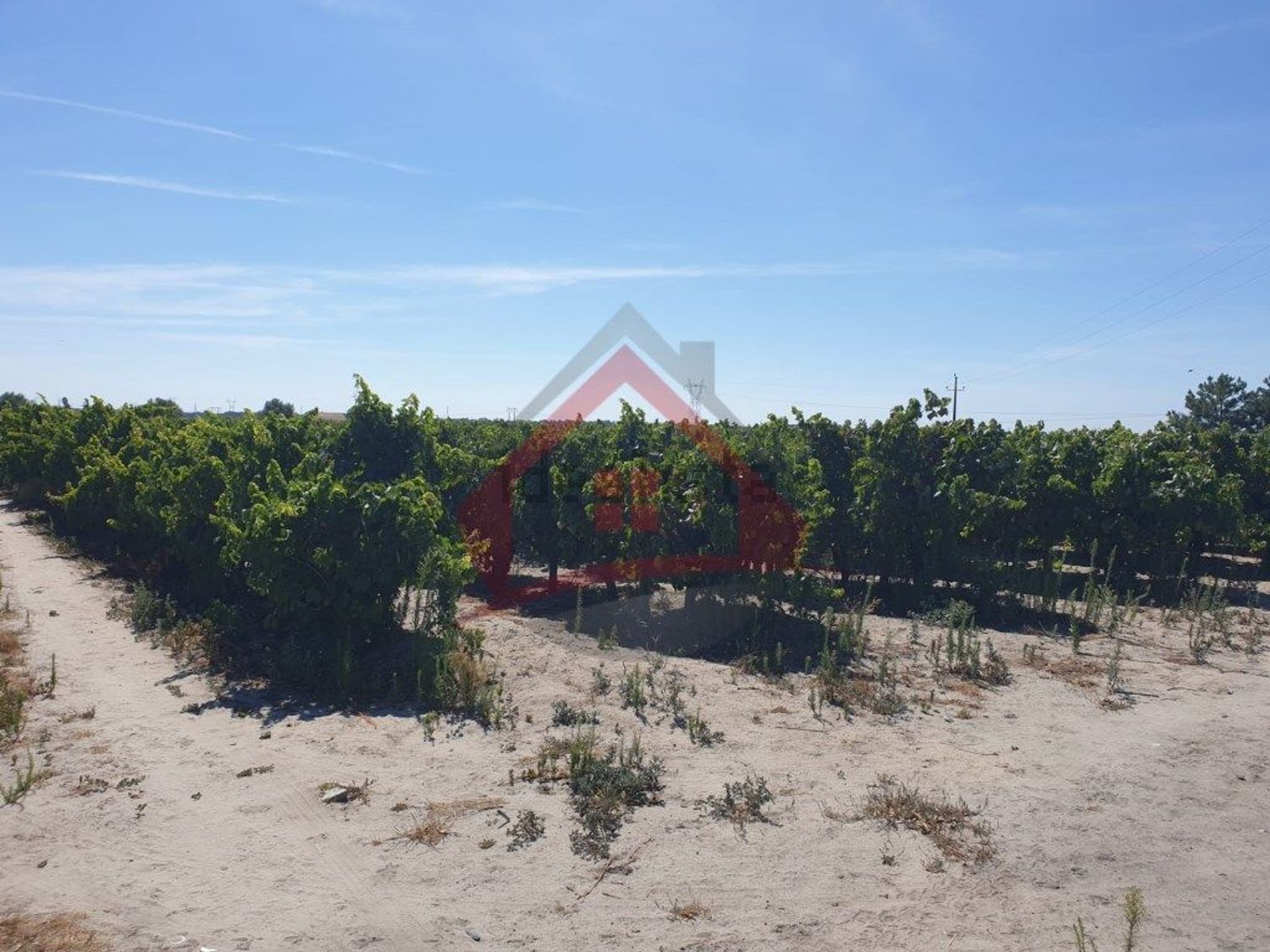 庄园出售在Largo da Fonte - 花园