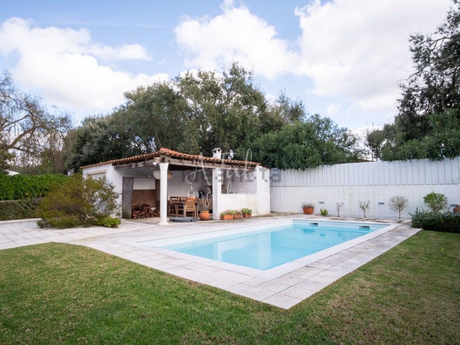 小楼房或独栋别墅出售在Vale de Choupos - Choilo - Galeotas - 游泳池