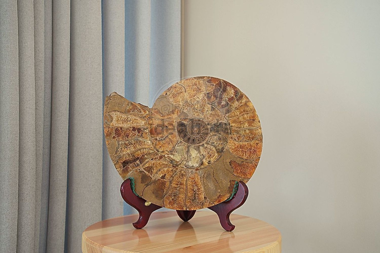 出租小楼房或独栋别墅在Rua Rosa Ramalho, 31 - 照片