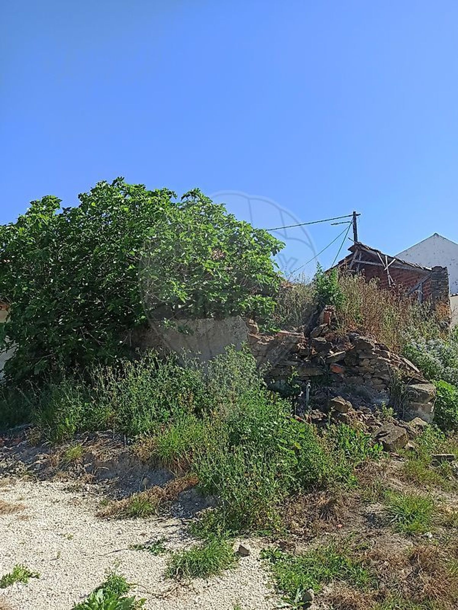 小楼房或独栋别墅出售在Encarnação - 花园