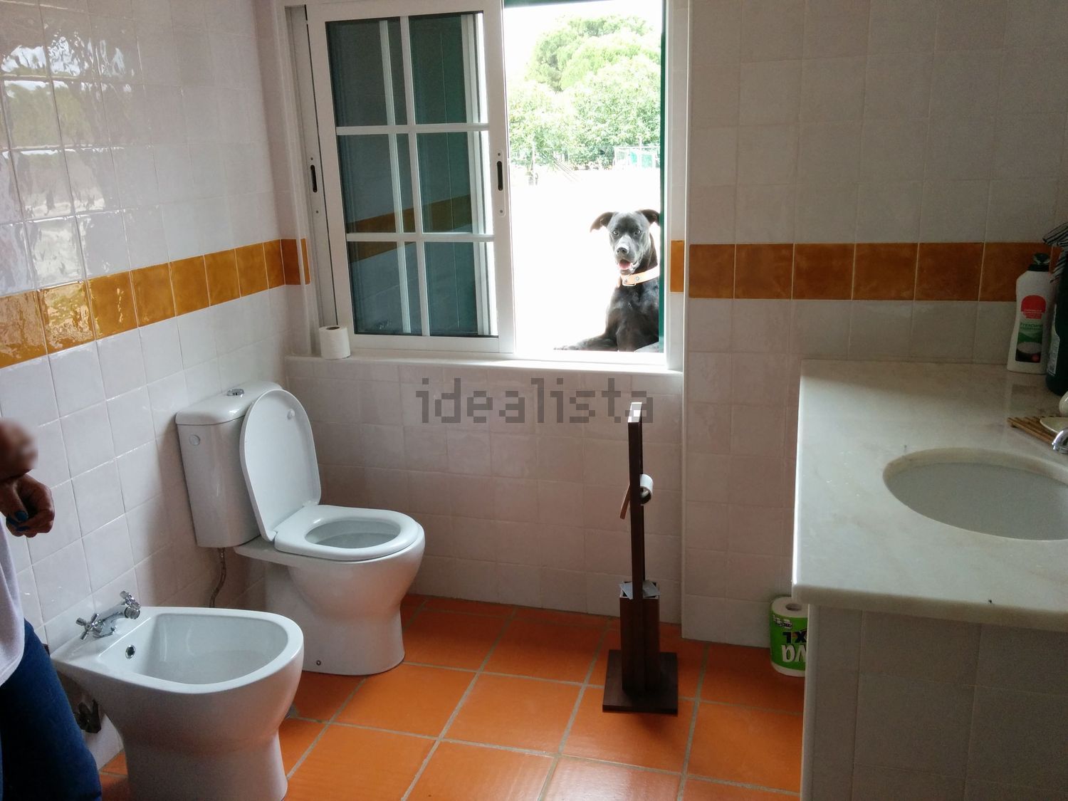 庄园出售António Aleixo, 204 2985-156, 204 - 卫生间